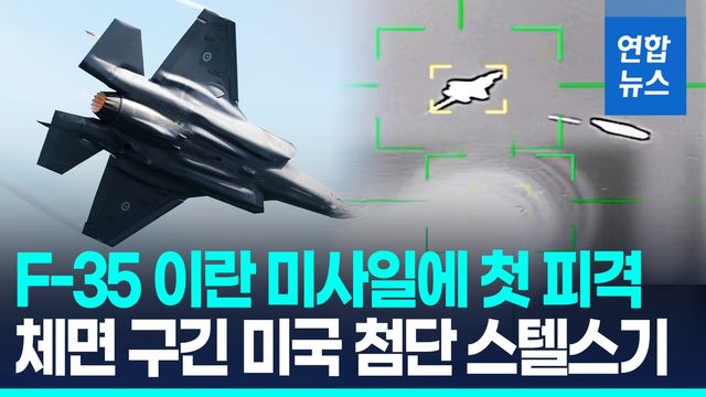 [영상] 미 F-35, 전투 임무 중 비상착륙…이란군 "우리가 격추" - 2