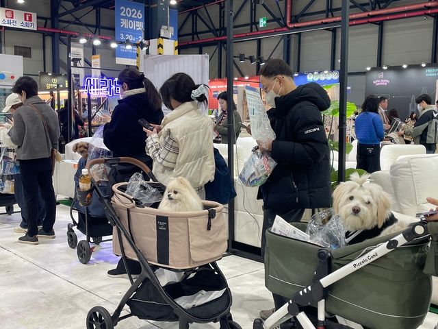 반려견을 유모차에 태우고 부스를 구경 중인 관람객들