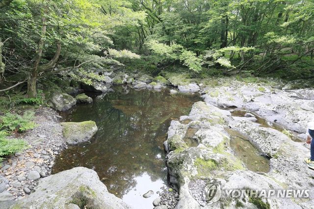 제주 천미천 삼다수 숲길 구간