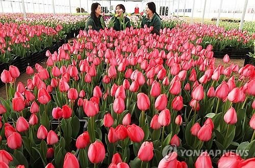 봄꽃 향기 가득