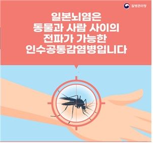 "'윙~'소리 들리면 조심하세요"…전국 일본뇌염 주의보 발령 - 1