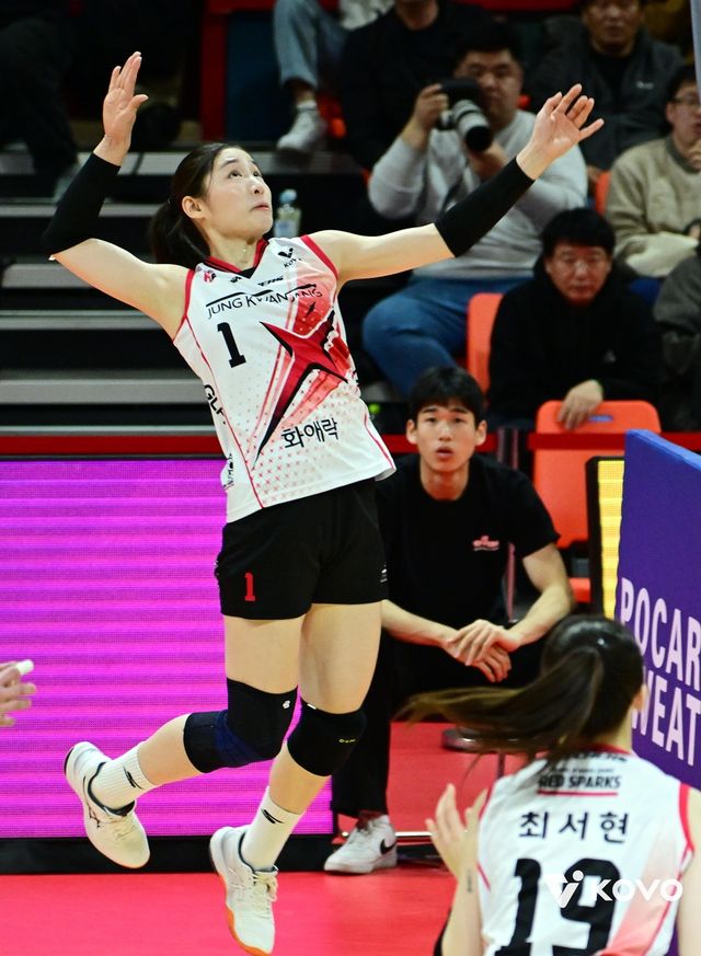 공격하는 정관장의 인쿠시