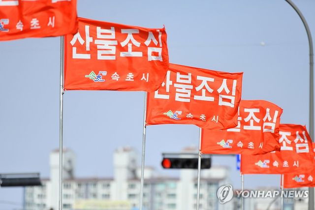 강풍에 펄럭이는 산불 조심 깃발