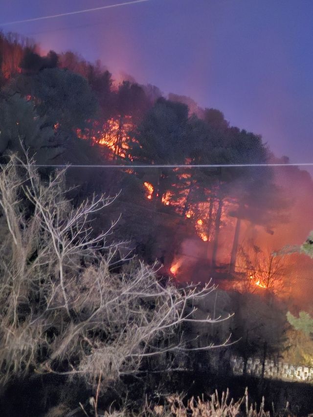 포천 야산 불