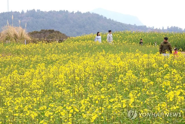 성큼 다가온 봄