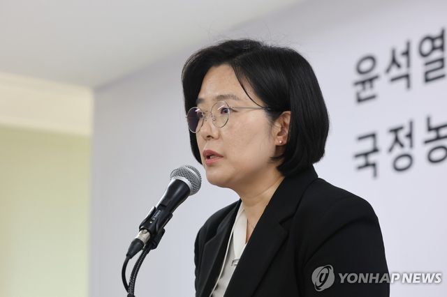 2차 종합특검 브리핑