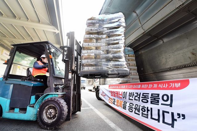 동물자유연대 등에 사료 기부를 진행한 로얄캐닌