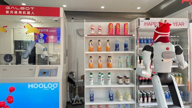 갤봇 휴머노이드