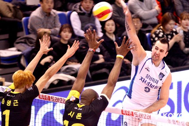 삼성화재에서 뛴 그로저의 공격 장면