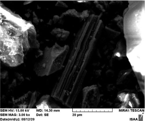건설자재서 트레몰라이트 석면 함유를 확인한 전자현미경 사진