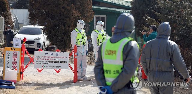 아프리카돼지열병 발생…현장 통제