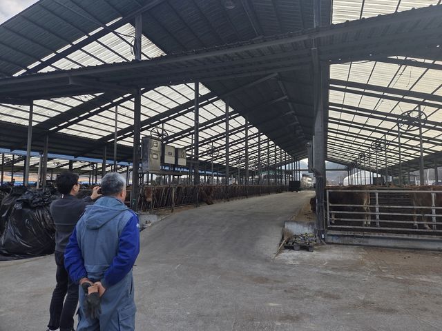 신기술 도입 사전 점검