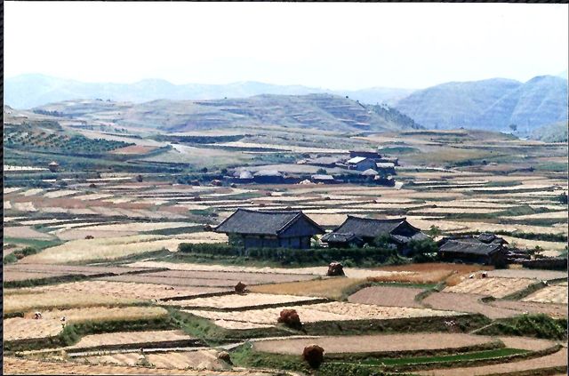 [영천시 제공.재판매 및 DB 금지]