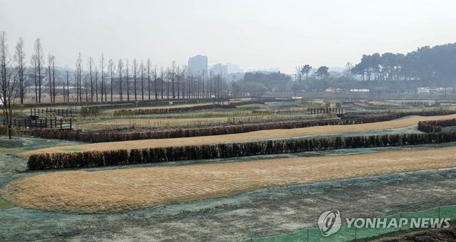 경포파크골프장