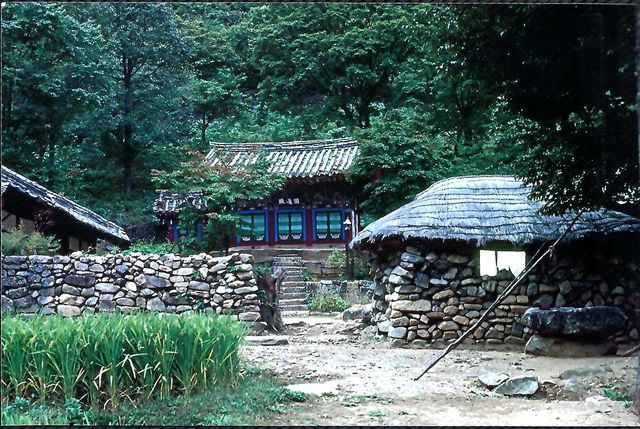 [영천시 제공.재판매 및 DB 금지]