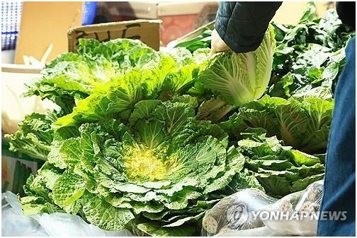 '두쫀쿠' 가고 '봄동비빔밥' 왔다