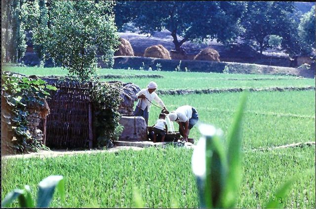 [영천시 제공.재판매 및 DB 금지]
