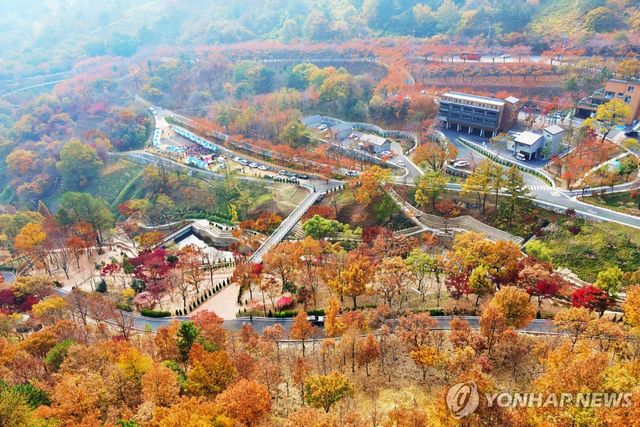 진주 월아산 숲속의 진주