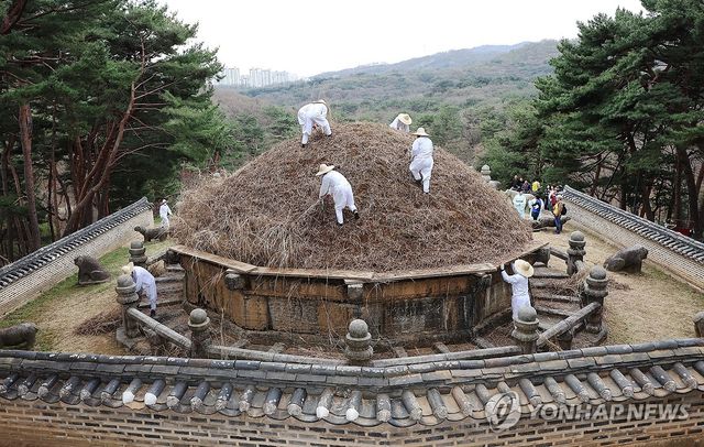 2024년 건원릉에서 열린 '청완 예초의' 모습 