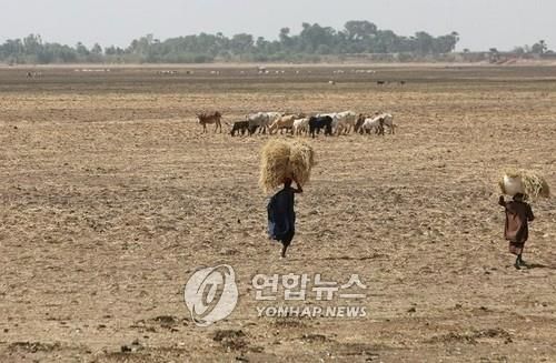 기후변화로 농경·목축 어려워진 아프리카 말리의 2007년 모습.