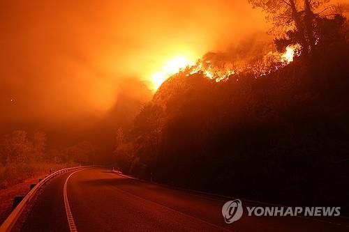 2025년 스페인에서 발생한 산불 