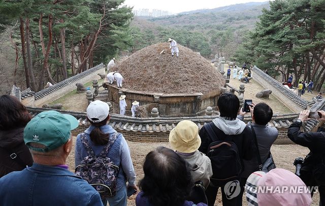 건원릉 억새 베기 지켜보는 관람객들