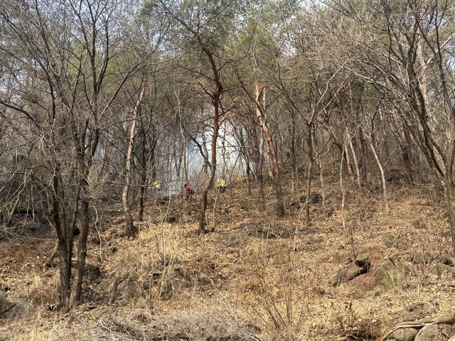 산불이 난 야산 화재 현장