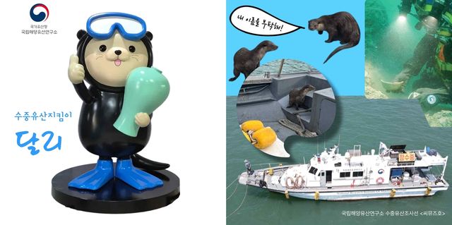 '달리'(왼쪽)와 수중유산 조사선 씨뮤즈호에서 발견한 해달 