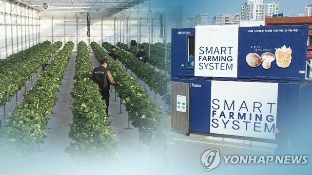 귀농한 청년농부들…스마트팜으로 승부(CG)
