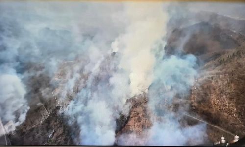 포항 군부대 사격장 인근 야산 불