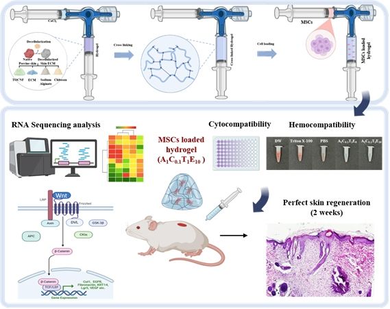 연구 과정 모식도