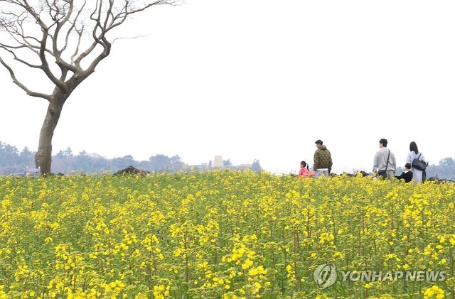 성큼 다가온 봄