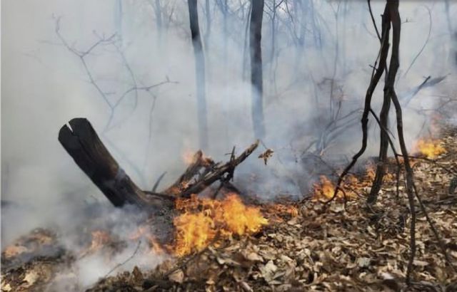 화재 발생한 야산