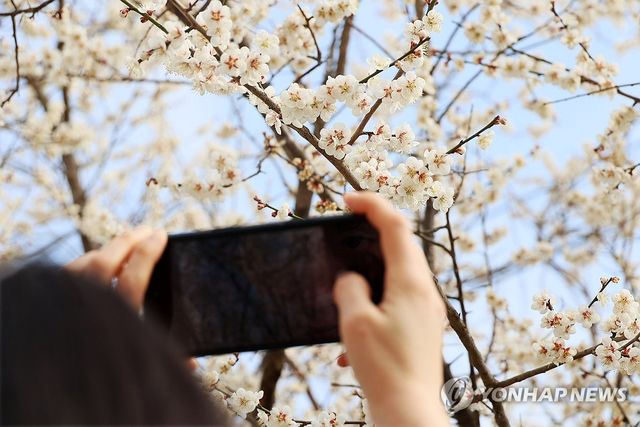 임실군 구담마을에 찾아온 봄