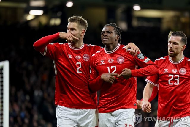 덴마크 축구대표팀