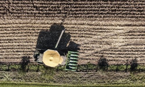 미국의 콩 농장