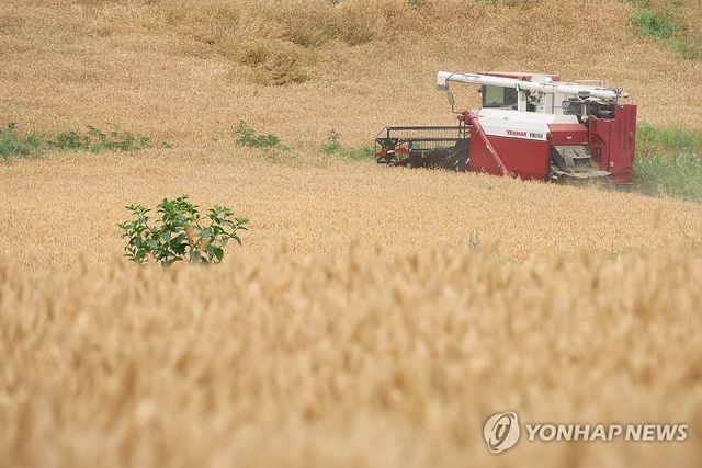 대전에 일군 성심당 밀밭