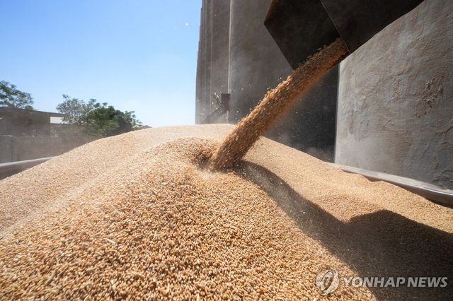 곡물 출하 장면