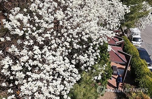 성큼 다가온 봄