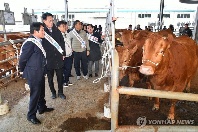울주군수, 가축시장 찾아 축산인 격려