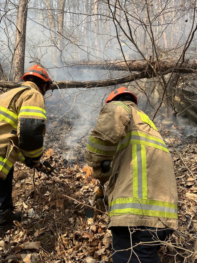 소백산 국립공원 산불 진화하는 소방당국