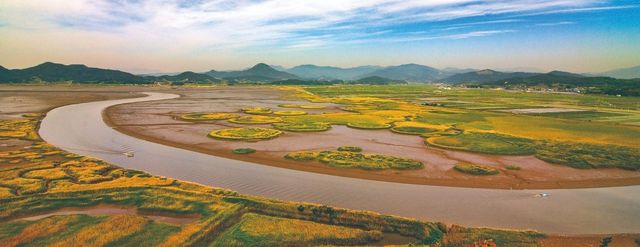 보성 순천 갯벌