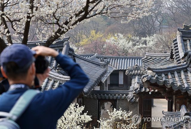 봄이 온 창덕궁