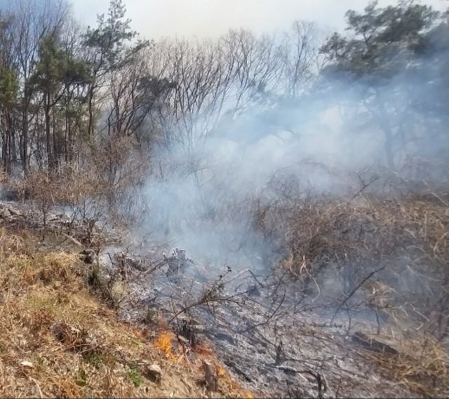 경남 진주시 명석면 야산 화재 현장