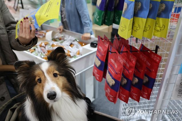 (서울=연합뉴스) 류효림 기자 = 12일 서울 강남구 대치동 세텍에서 열린 크리스마스 서울 펫쇼에서 참관객들이 반려견과 함께 전시장을 둘러보고 있다. 2025.12.12 ryousanta@yna.co.kr