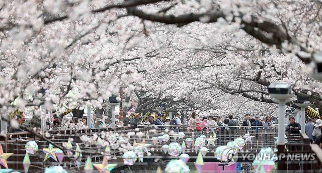 봄의 입구 '진해군항제'