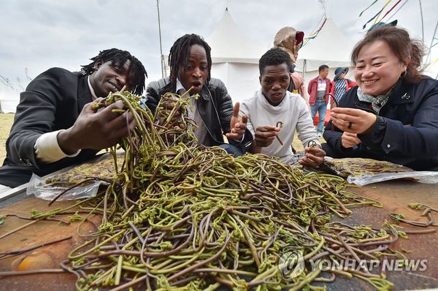 한라산 청정 고사리 축제에서 삶은 고사리 살펴보는 외국인 관광객들