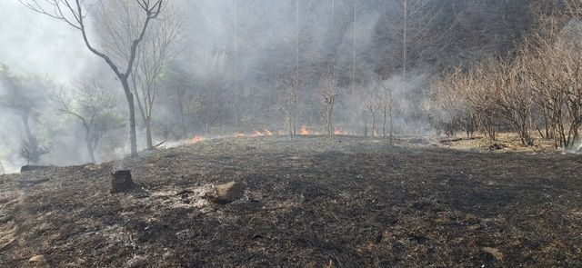 양평 서종면 야산 불