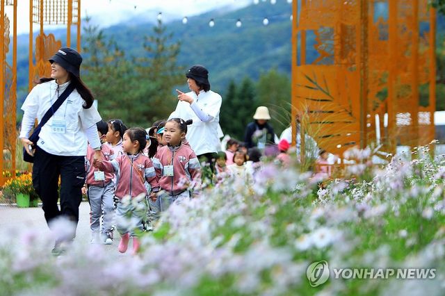 동심 사로잡은 가을꽃