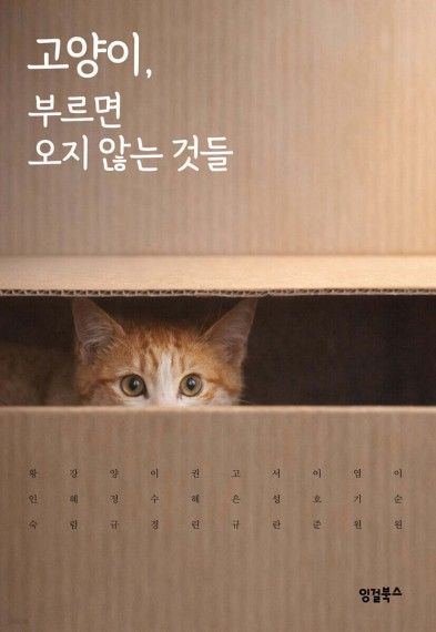 고양이, 부르면 오지 않는 것들